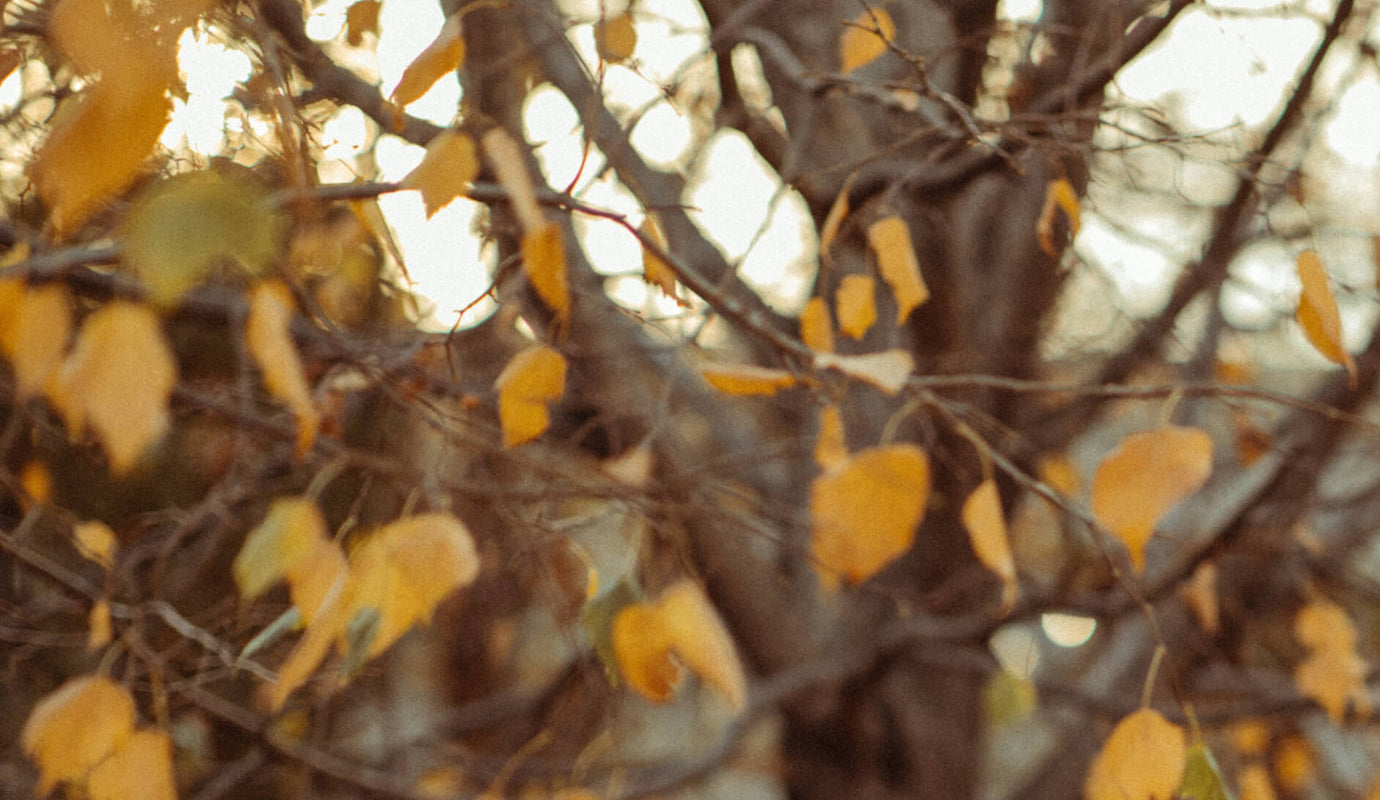 OCTOBER
